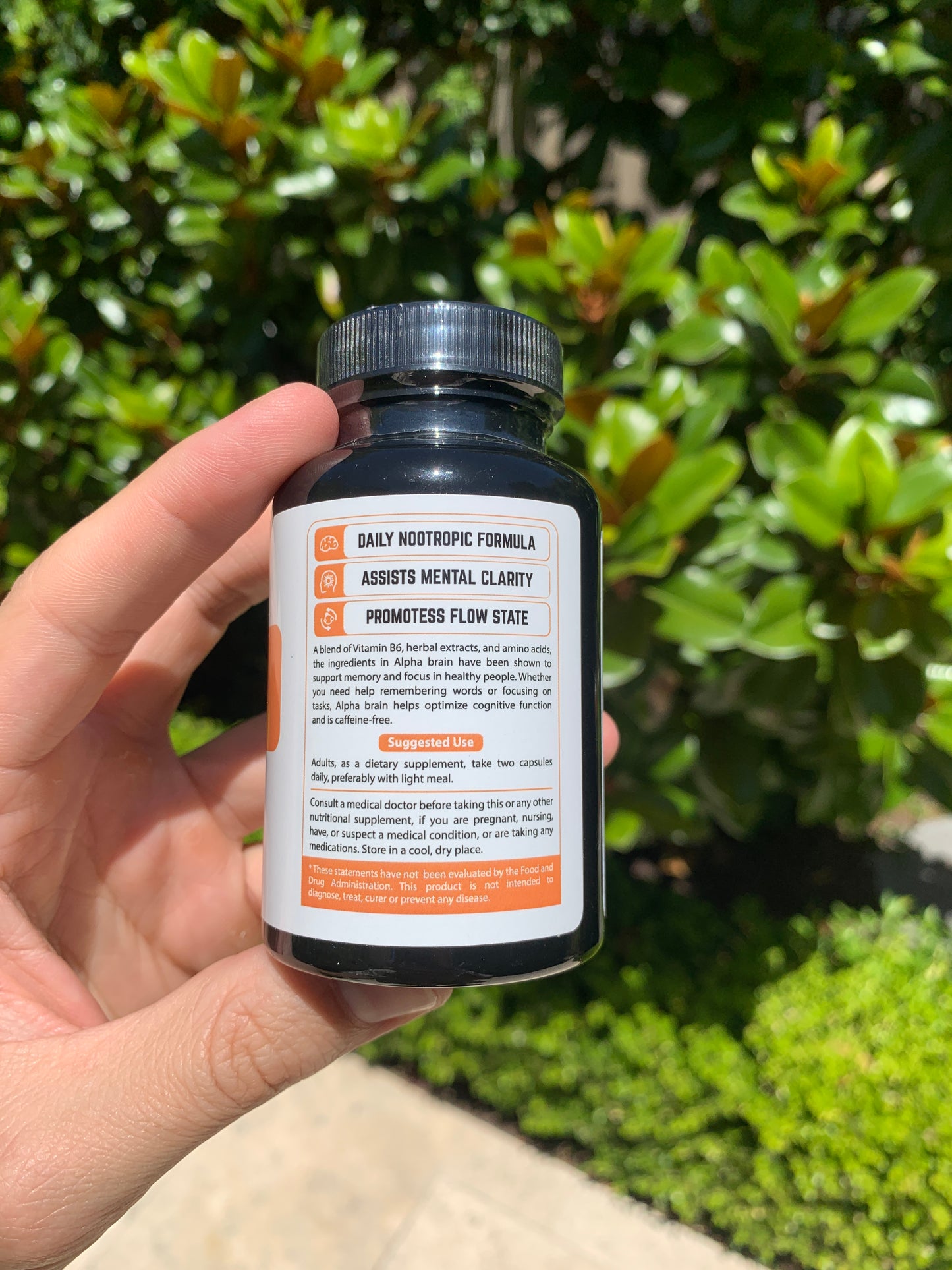 Memory & Focus Nootropic