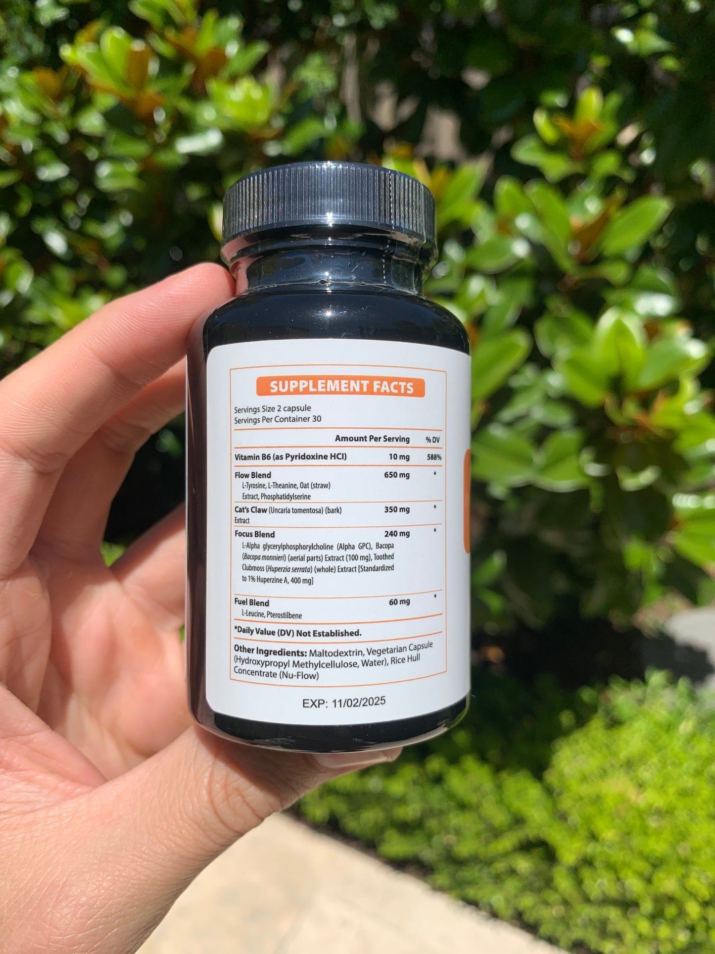 Memory & Focus Nootropic