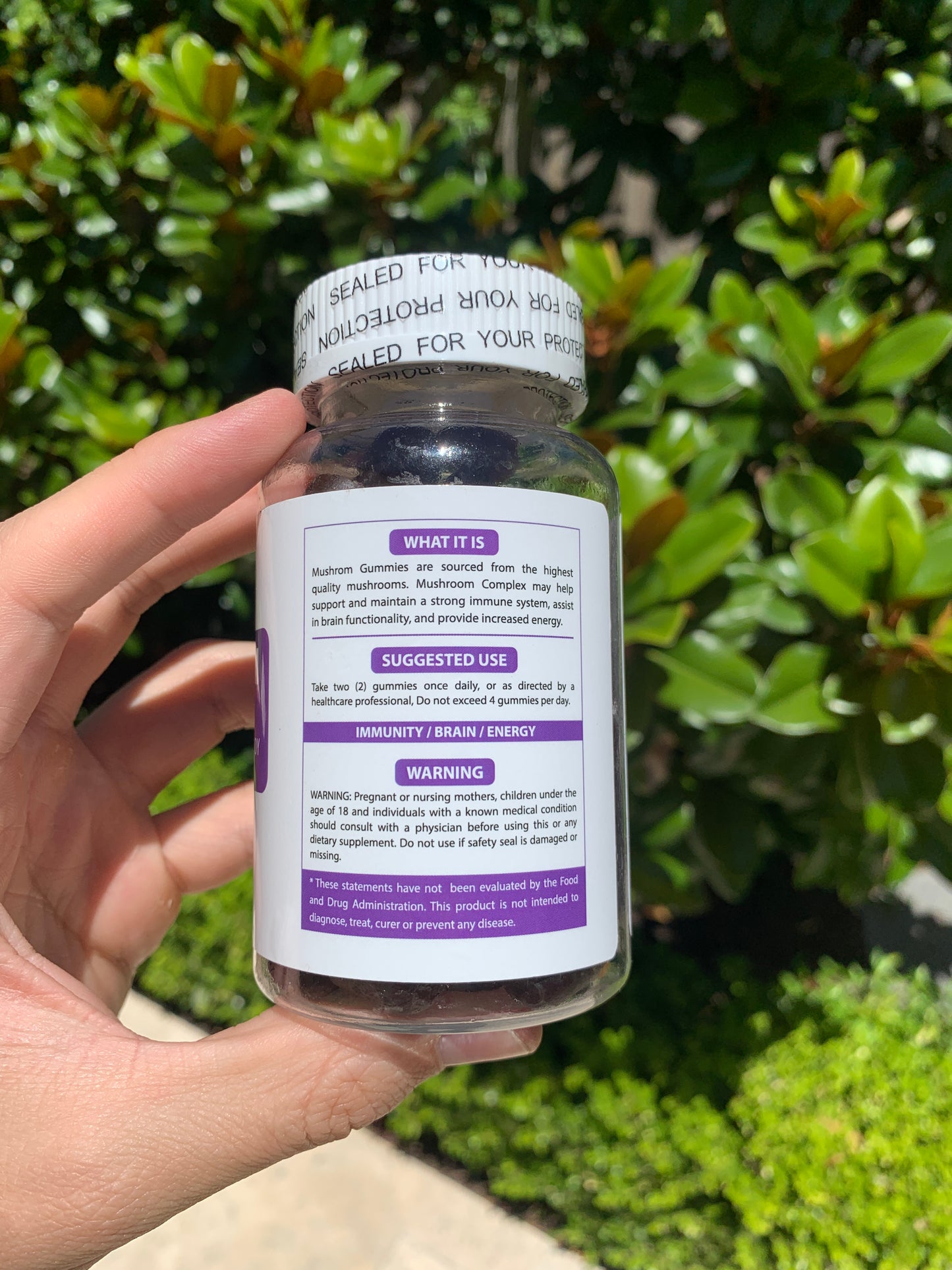 Mushroom Complex Gummies