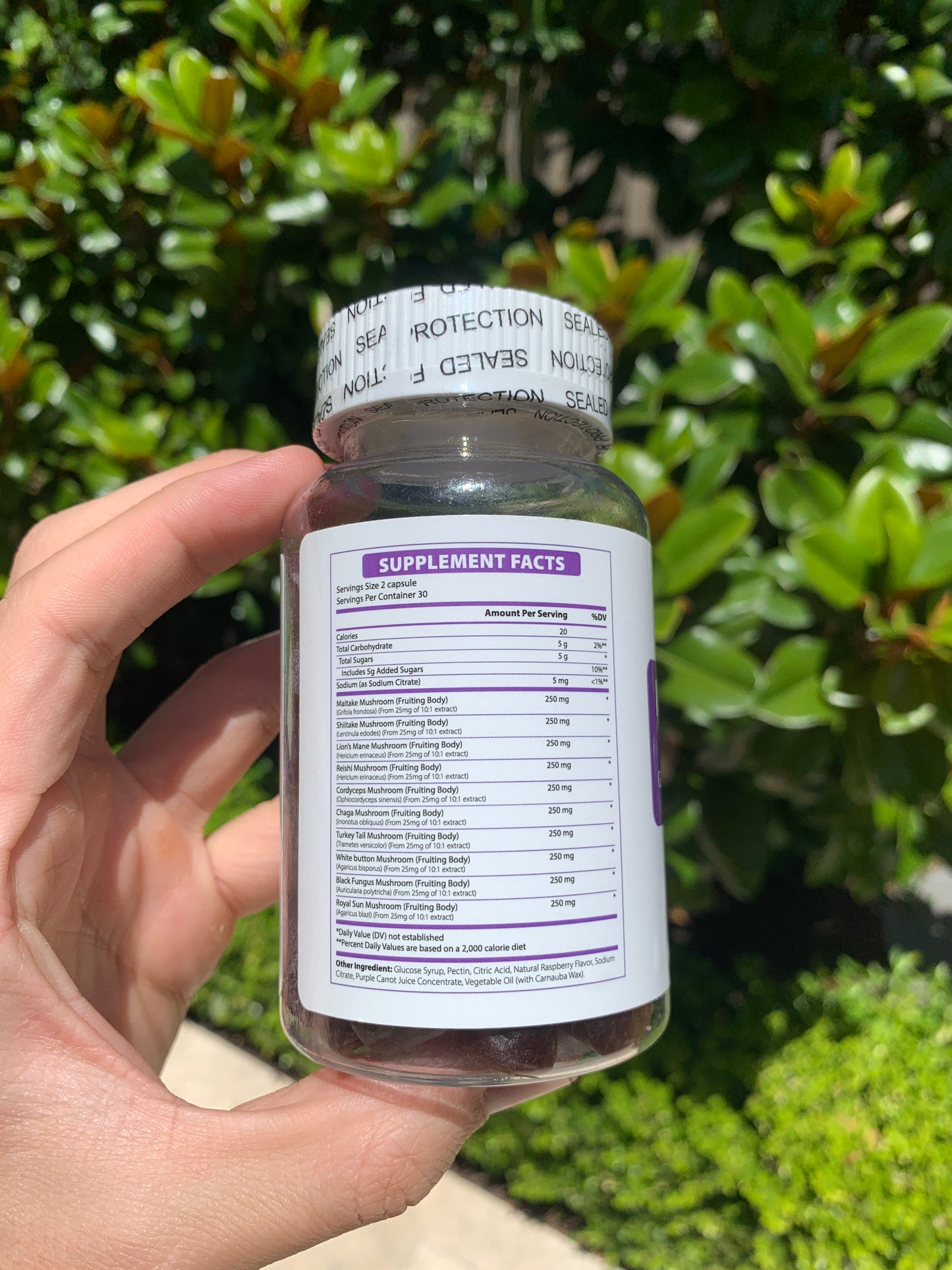 Mushroom Complex Gummies