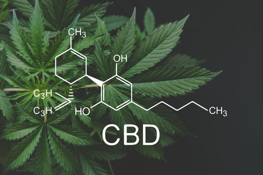 Understanding Cannabinoids